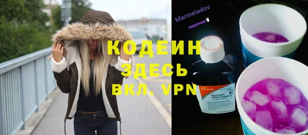 крисы Богородицк