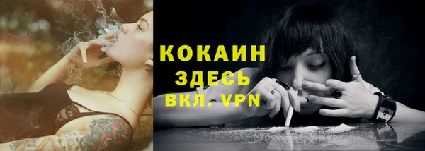 крисы Богородицк