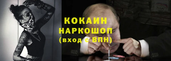 крисы Богородицк