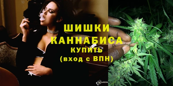 крисы Богородицк