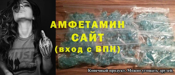 крисы Богородицк