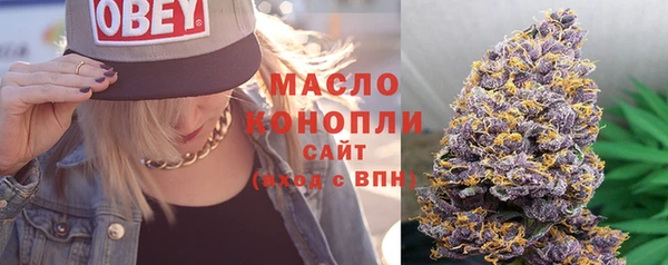 шишки Богданович