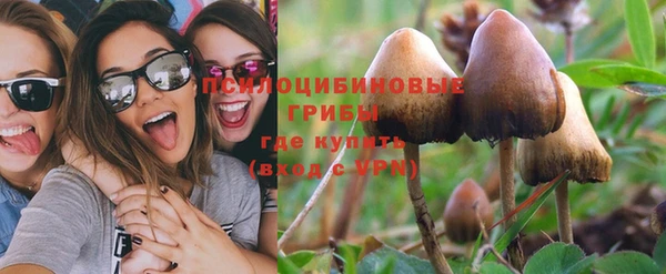 первитин Богородск