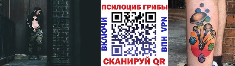 Псилоцибиновые грибы Psilocybe  Невьянск 
